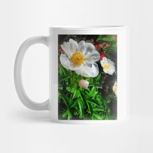 Two White Poppies Mug